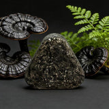 Nature Green Black Hair Darkening Soap | Herbal Gray Hair Treatment Bar Pakistan